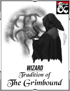 Grimbound Wizard