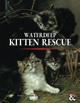 Waterdeep: Kitten Rescue