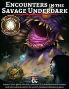 Encounters in the Savage Underdark (Fantasy Grounds)