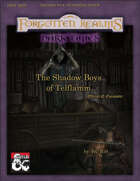 The Shadow Boys of Telflamm