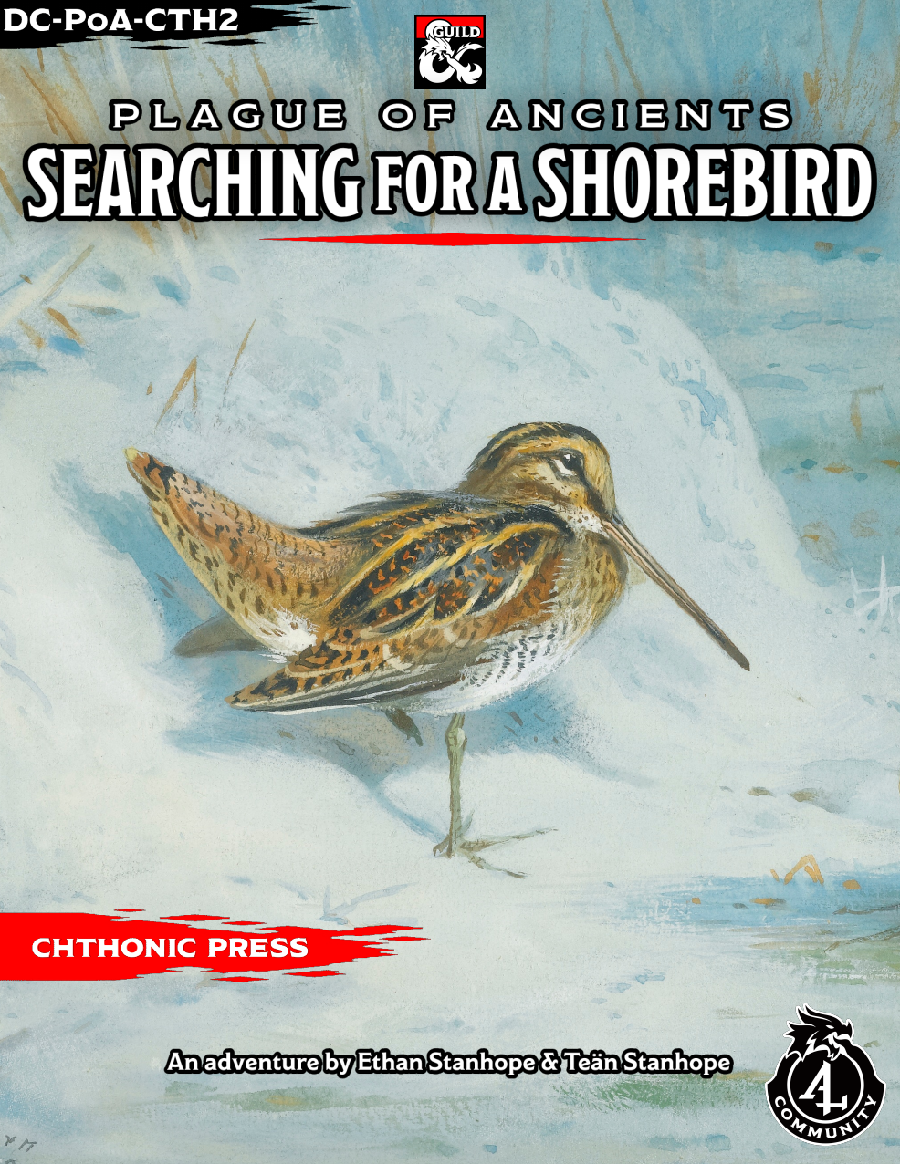 Cover of DC-PoA-CTH2 Searching for a Shorebird