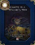 D&D Solo Adventure: Caught In A Wizard's Web (Fantasy Grounds)