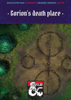 Battle Map Pack - Battleground - Gorion's death place - VTT friendly