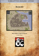 Selgaunt - Forgotten Realms Cities