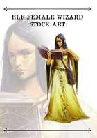 Elf Female Wizard