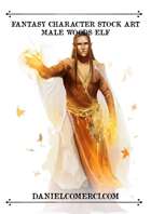 Elf Male Woods Wizard