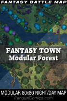 VTT Battle Maps - Fantasy Town: Modular Forest - 4*40x40 = 80x80