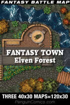 VTT Battle Maps - Fantasy Town: Elven Forest - 120x30, 3 images