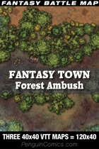 VTT Battle Maps - Fantasy Town: Forest Ambush | Three VTT 40x40 Maps=120x80