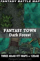 VTT Battle Maps - Fantasy Town: Dark Forest | Three VTT 40x40 Maps=120x40