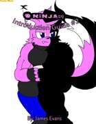 Ninja: The Wolf - Guide #2