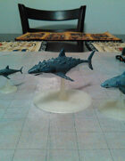 Shark collection!