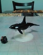 Killer Whale Miniature!